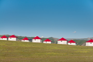 Obraz premium 草原景色