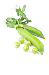 Young cut green pea on a white background