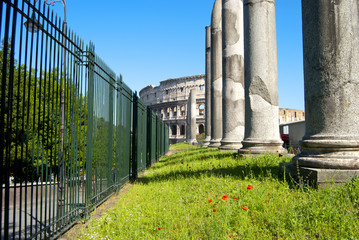 Fototapeta na wymiar Rome, the Colosseum,
