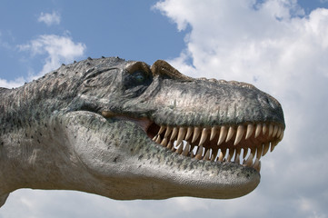 Tyrannosaurus T-Rex dinosaur - obrazy, fototapety, plakaty