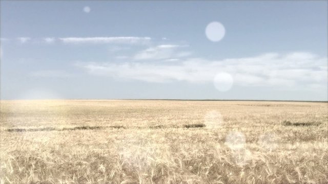 Panorama de campagne