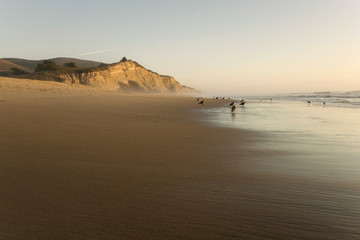San Gregorio Beach and cliffs, California State Beach