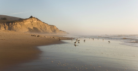San Gregorio Beach and cliffs, California State Beach