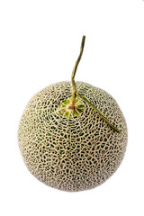 Melon from Japan in isolation