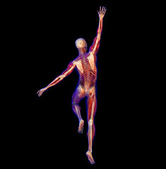 Obraz premium X-ray illustration of Human anatomy and skeleton