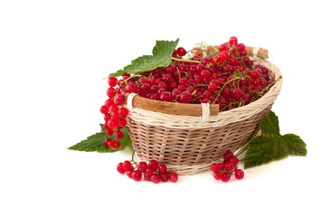 red currant in a basket