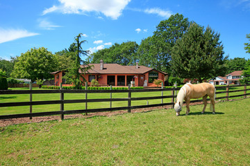 Pasture on A horse ranch with a house and fence. - obrazy, fototapety, plakaty