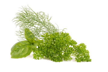 dill, petersilie, basilikum