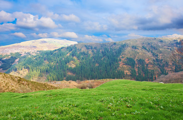 Obraz premium Fields