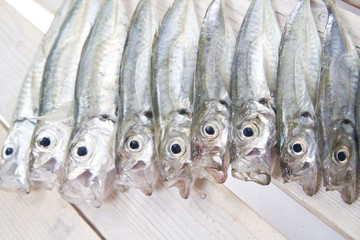 Pesce di pescheria
