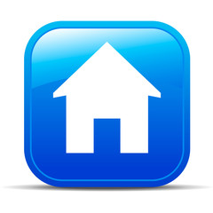 Home Internet button Icon