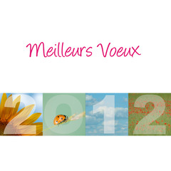 Meilleurs voeux 2012