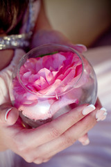 Beautiful rosebud in hands
