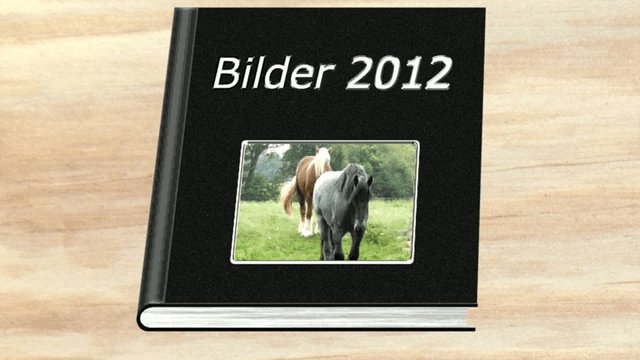 Bidler 2012