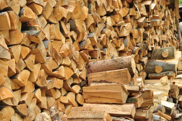 дрова из бука