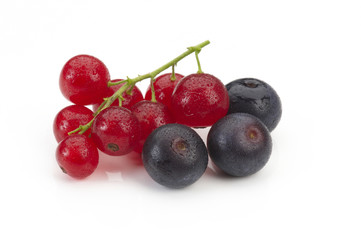 Ribes e mirtilli