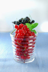 Redcurrants in a glass