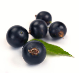 black currants with leaves