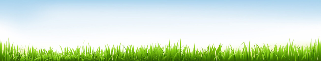 Obraz premium Header With Grass