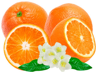 orange isolated on white background