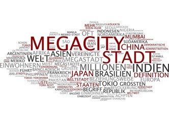 Fototapeta premium Megacity