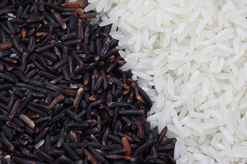Black rice grain and white grain
