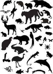 collection of different animals silhouettes