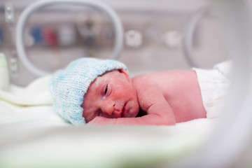 Newborn boy covered in vertix in incubator - obrazy, fototapety, plakaty
