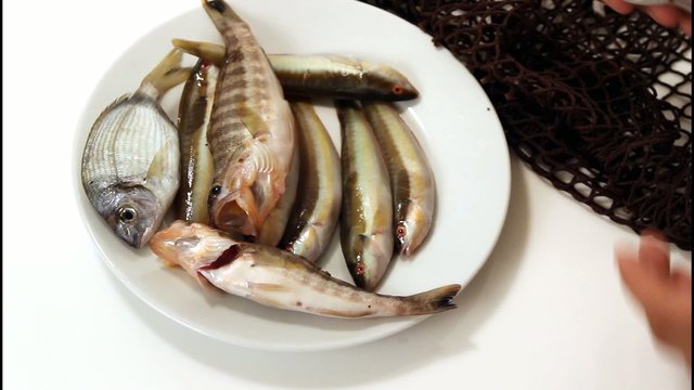 colocando pescado en un plato