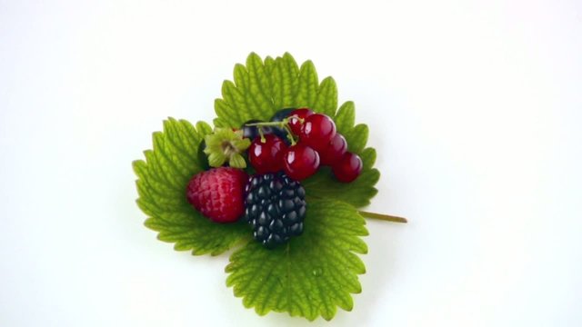 frutti di bosco