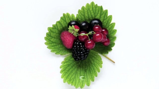 Frutti di bosco