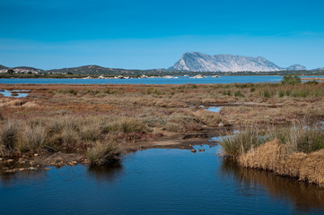 Sardinia, Italy: Pond of San Teodoro.