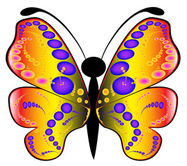 abstract butterfly