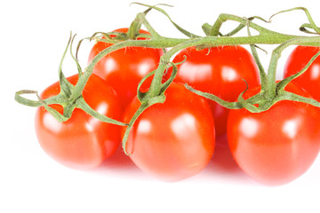 cherry tomatoes isolated