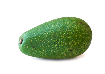 avocado fruit