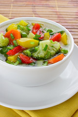 Diet vegetable soup