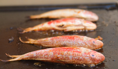 rougets à la plancha