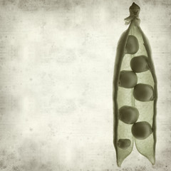 textured old paper background with pea pod