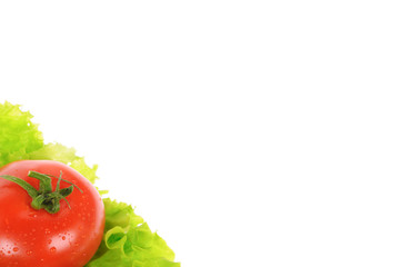 green salad and tomato isolated on the white background