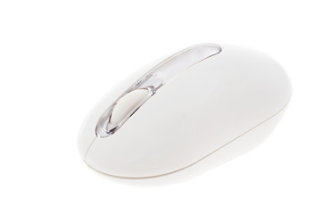 ergonomic white mouse