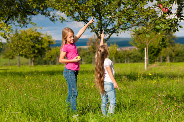Fototapeta premium Children eating apples