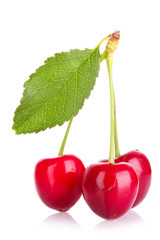 cherries isolated on white background