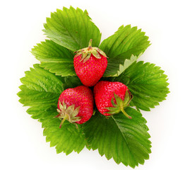 strawberry with green leaves isolated on white