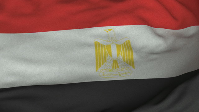 Seamless Waving Egyptian Flag with Fabric Texture