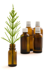 Ackerschachtelhalm und Arzneimittelfläschchen