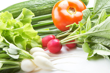 Vegetables and herbs on a white background