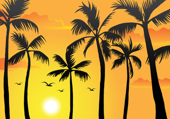 Beach Palm Trees