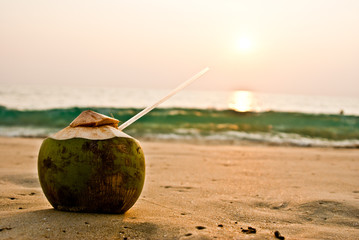 coconut on the sunset beach