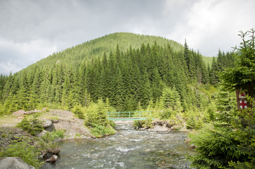 Ecotourism trail in the mountains