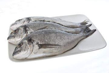 Three Sea Bream